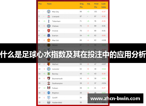 什么是足球心水指数及其在投注中的应用分析